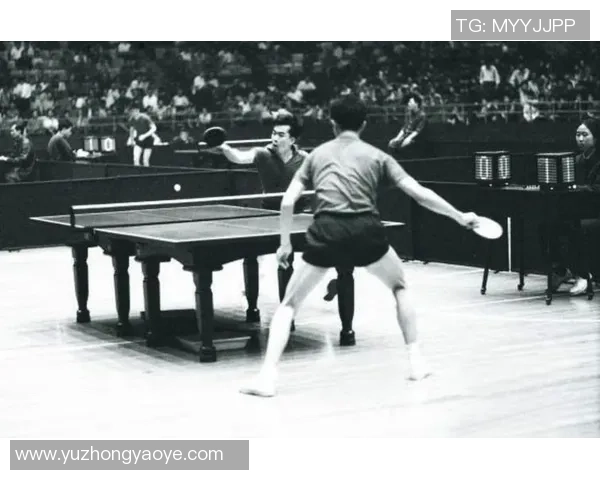 乒乓球运动的魅力与发展历程:从起源到现代化技术的突破与创新