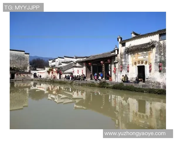 从惊心动魄到优雅入水全方位解析跳水运动的技巧艺术与心理较量